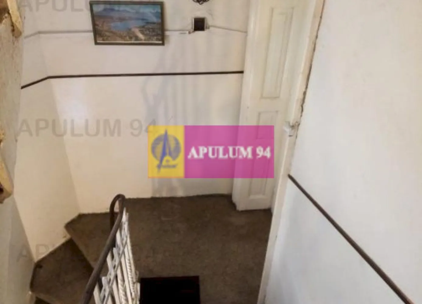 Apartament Elegant in Vilă zona Gradina Botanica-Splaiul Independenței