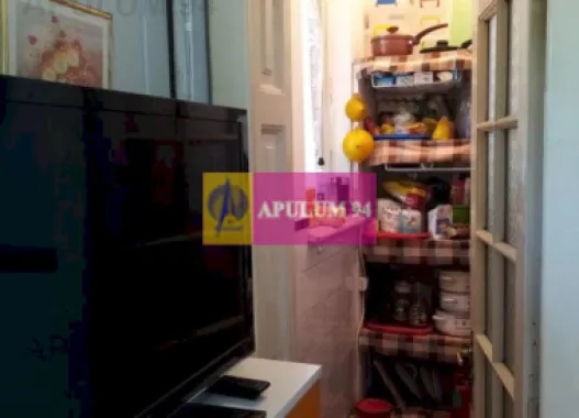 Apartament Elegant in Vilă zona Gradina Botanica-Splaiul Independenței