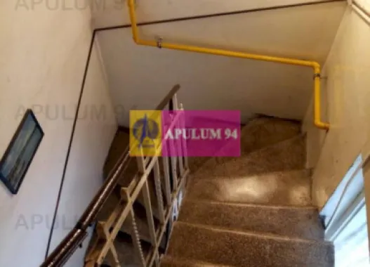 Apartament Elegant in Vilă zona Gradina Botanica-Splaiul Independenței