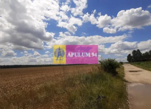 Teren 715mp în Snagov lângă Equestria