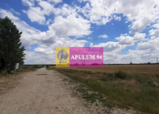 Teren 715mp în Snagov lângă Equestria