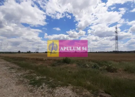 Teren 715mp în Snagov lângă Equestria