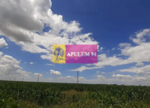 Teren 715mp în Snagov lângă Equestria