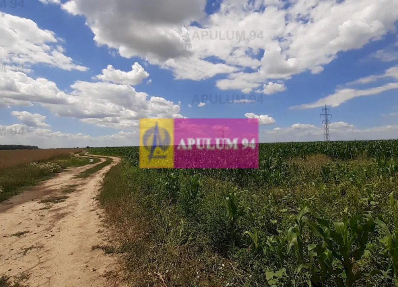 Teren 715mp în Snagov lângă Equestria