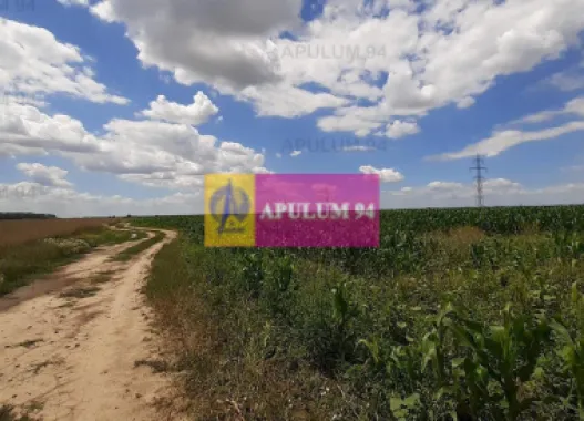 Teren 715mp în Snagov lângă Equestria