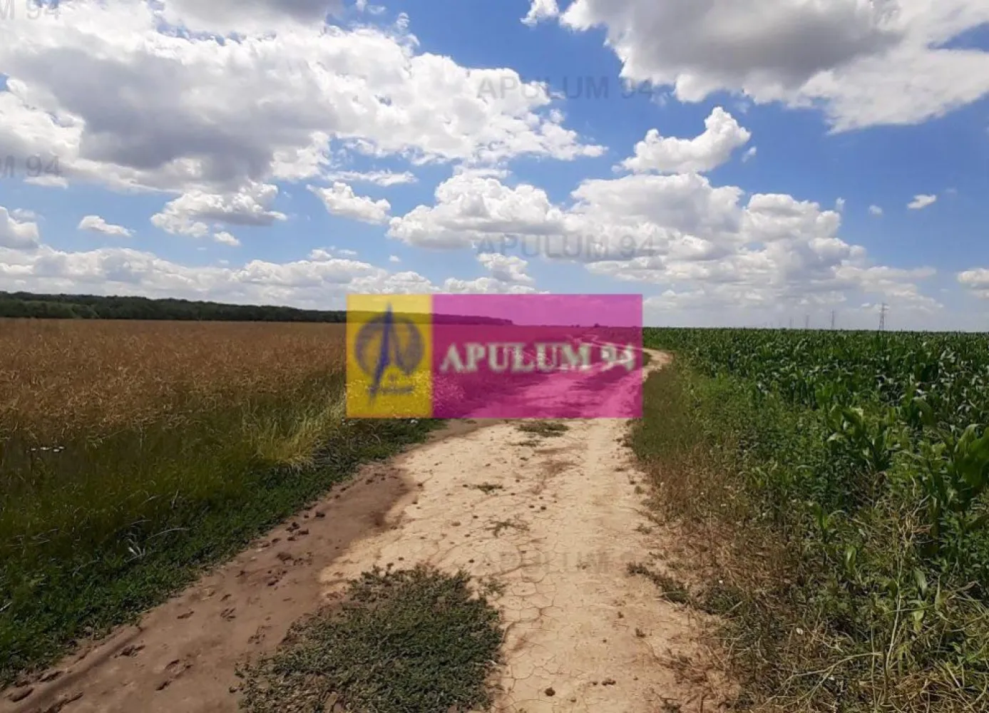 Teren 715mp în Snagov lângă Equestria