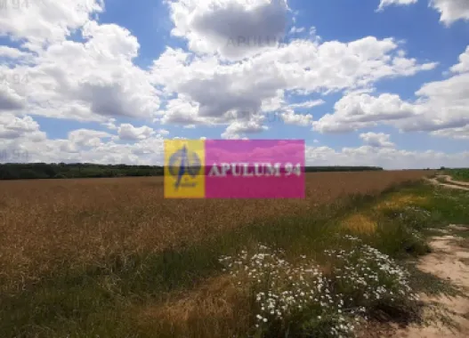 Teren 715mp în Snagov lângă Equestria