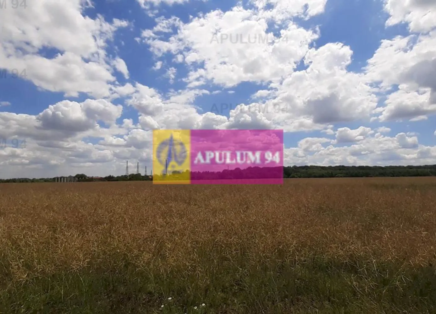 Teren 715mp în Snagov lângă Equestria