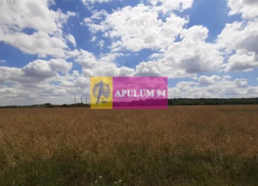 Teren 715mp în Snagov lângă Equestria