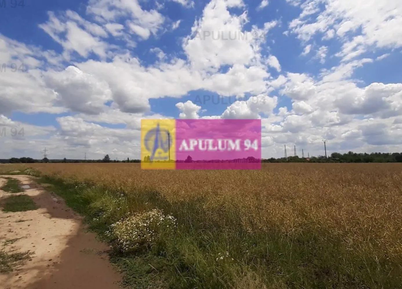 Teren 715mp în Snagov lângă Equestria
