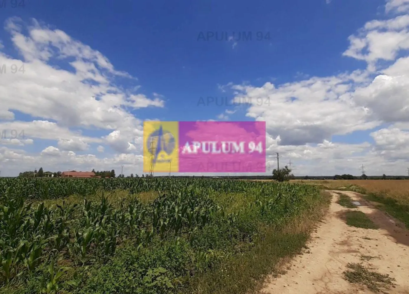Teren 715mp în Snagov lângă Equestria