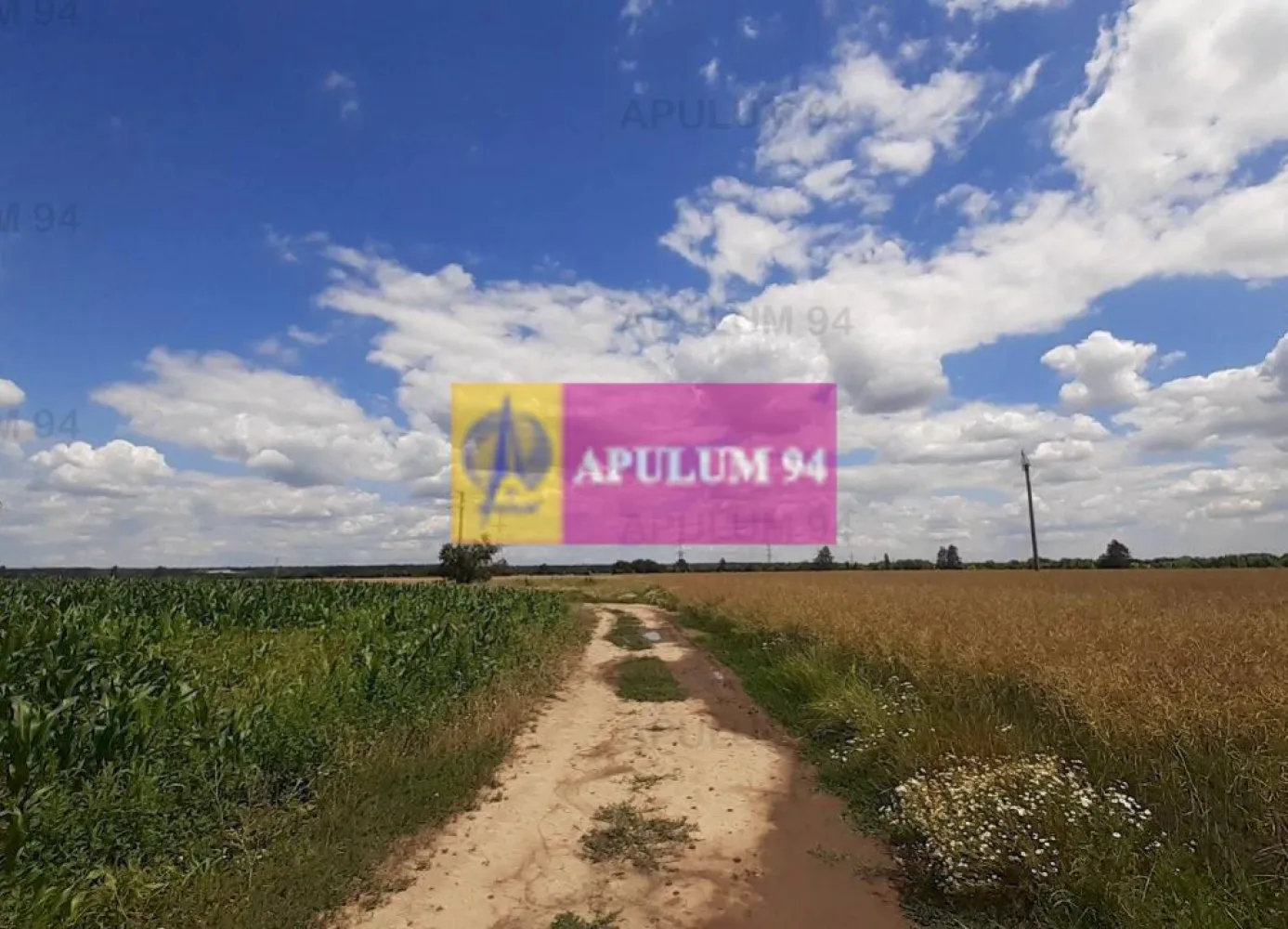 Teren 715mp în Snagov lângă Equestria