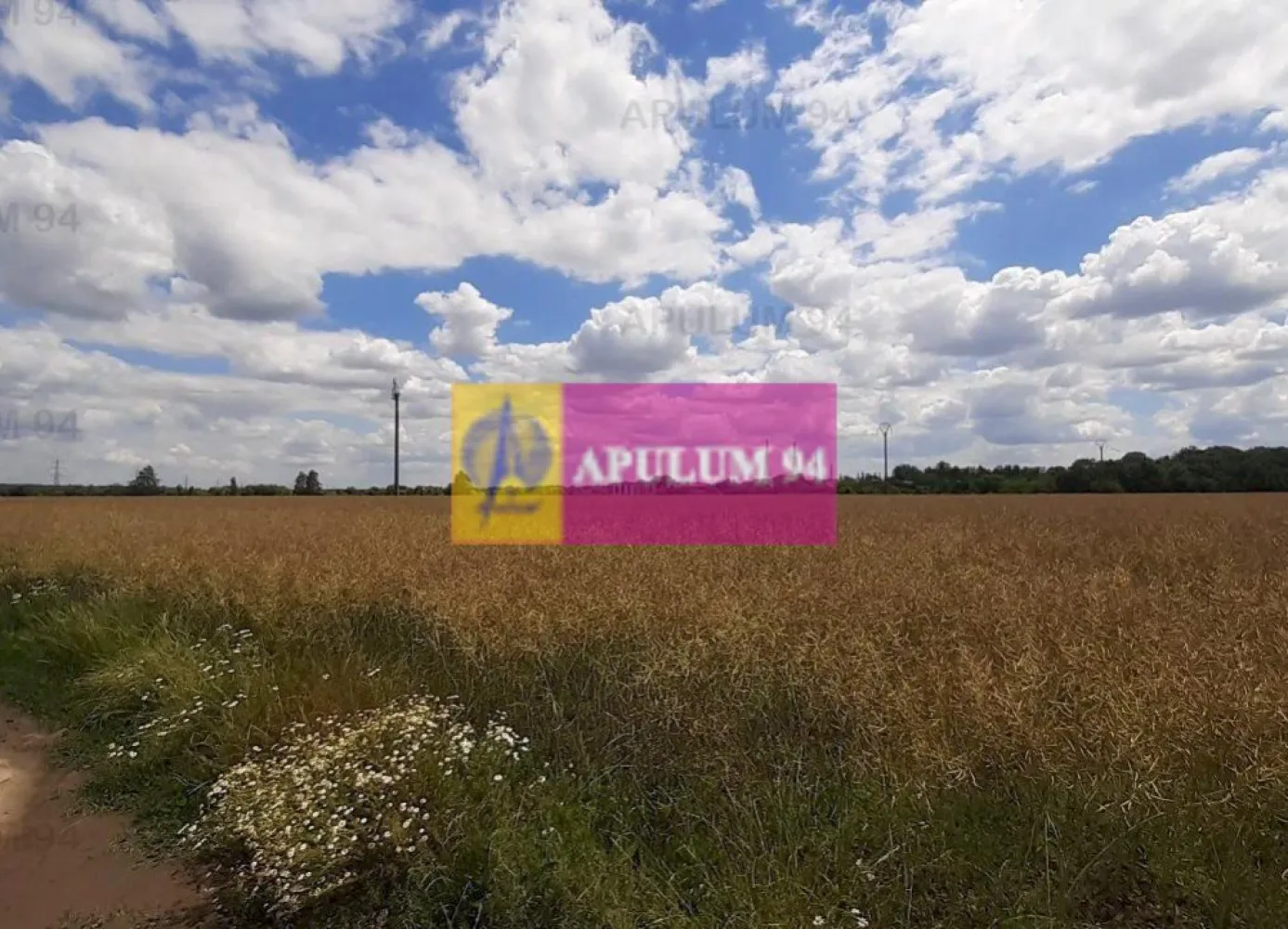Teren 715mp în Snagov lângă Equestria