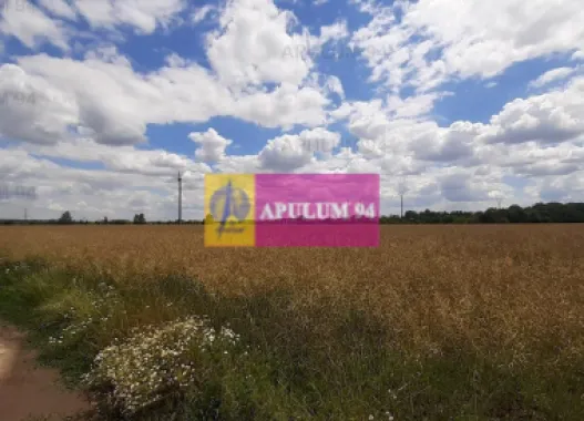 Teren 715mp în Snagov lângă Equestria