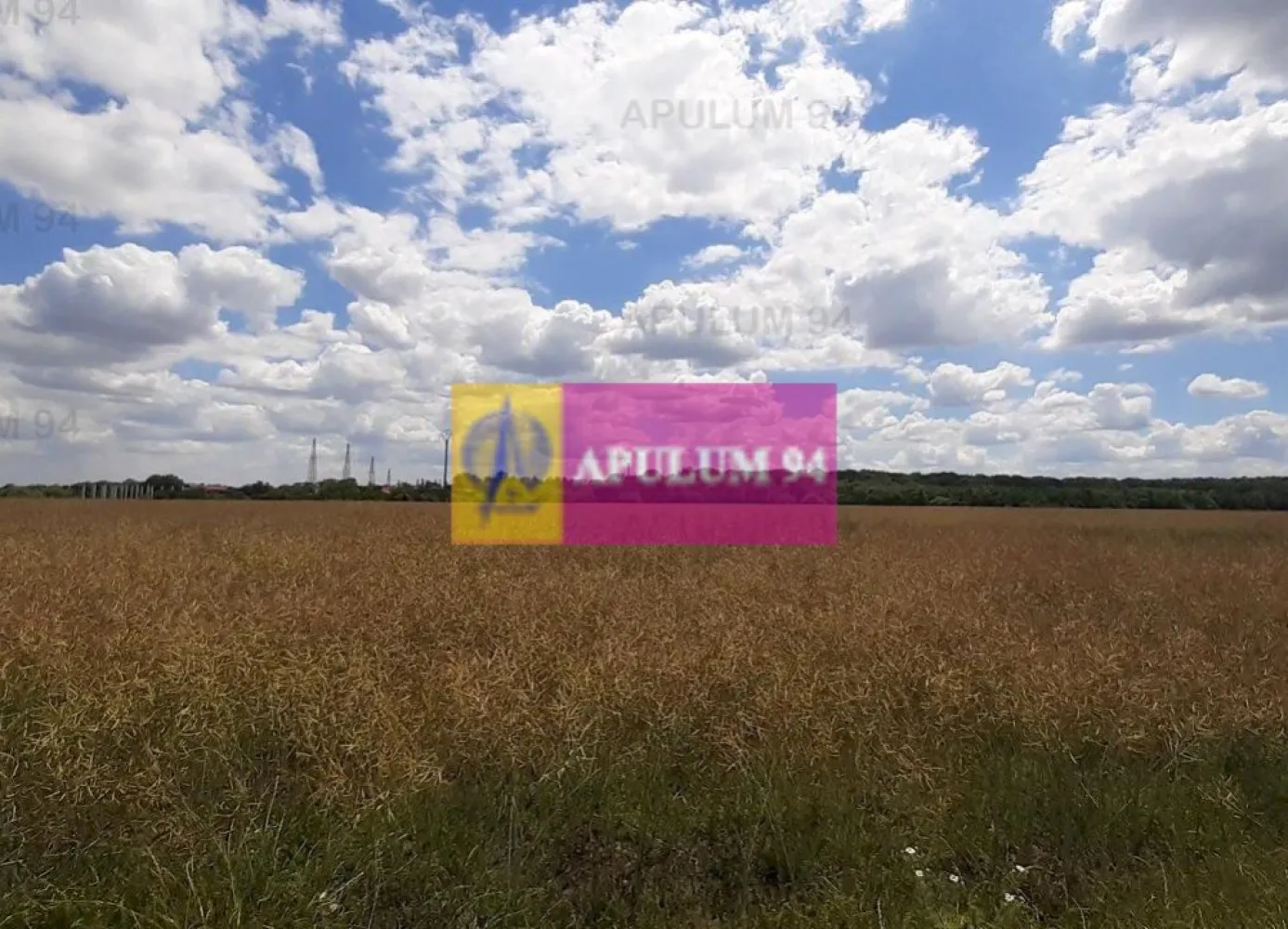 Teren 715mp în Snagov lângă Equestria