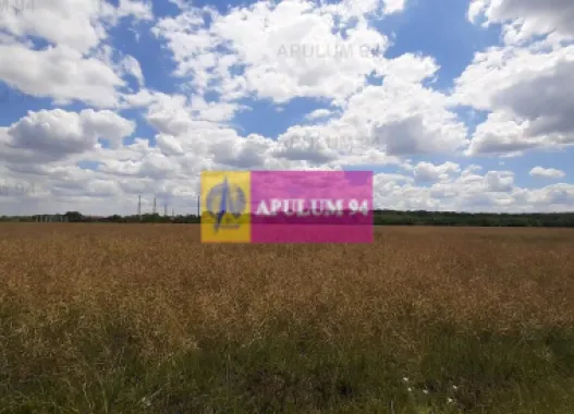 Teren 715mp în Snagov lângă Equestria
