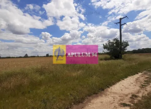 Teren 715mp în Snagov lângă Equestria