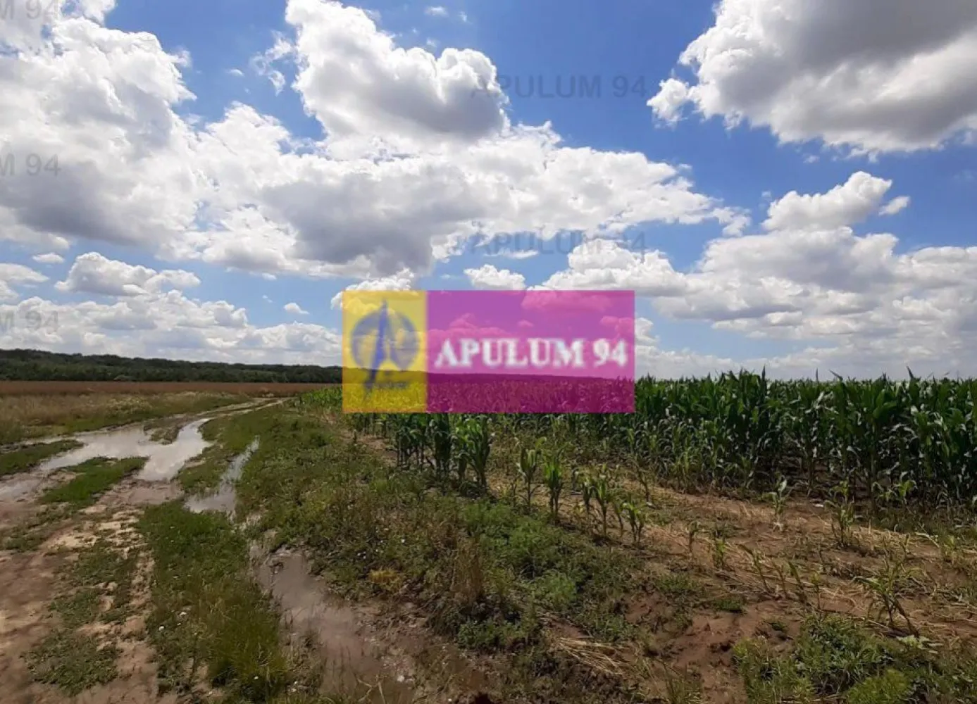 Teren 715mp în Snagov lângă Equestria