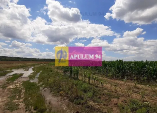 Teren 715mp în Snagov lângă Equestria