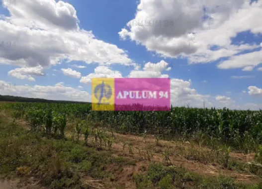 Teren 715mp în Snagov lângă Equestria