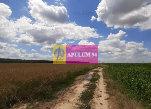 Teren 715mp în Snagov lângă Equestria