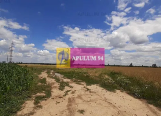 Teren 715mp în Snagov lângă Equestria