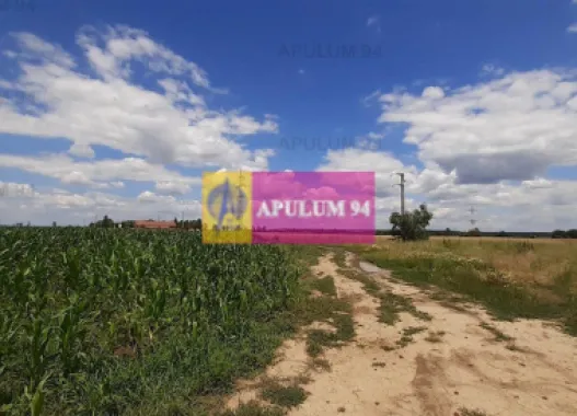 Teren 715mp în Snagov lângă Equestria