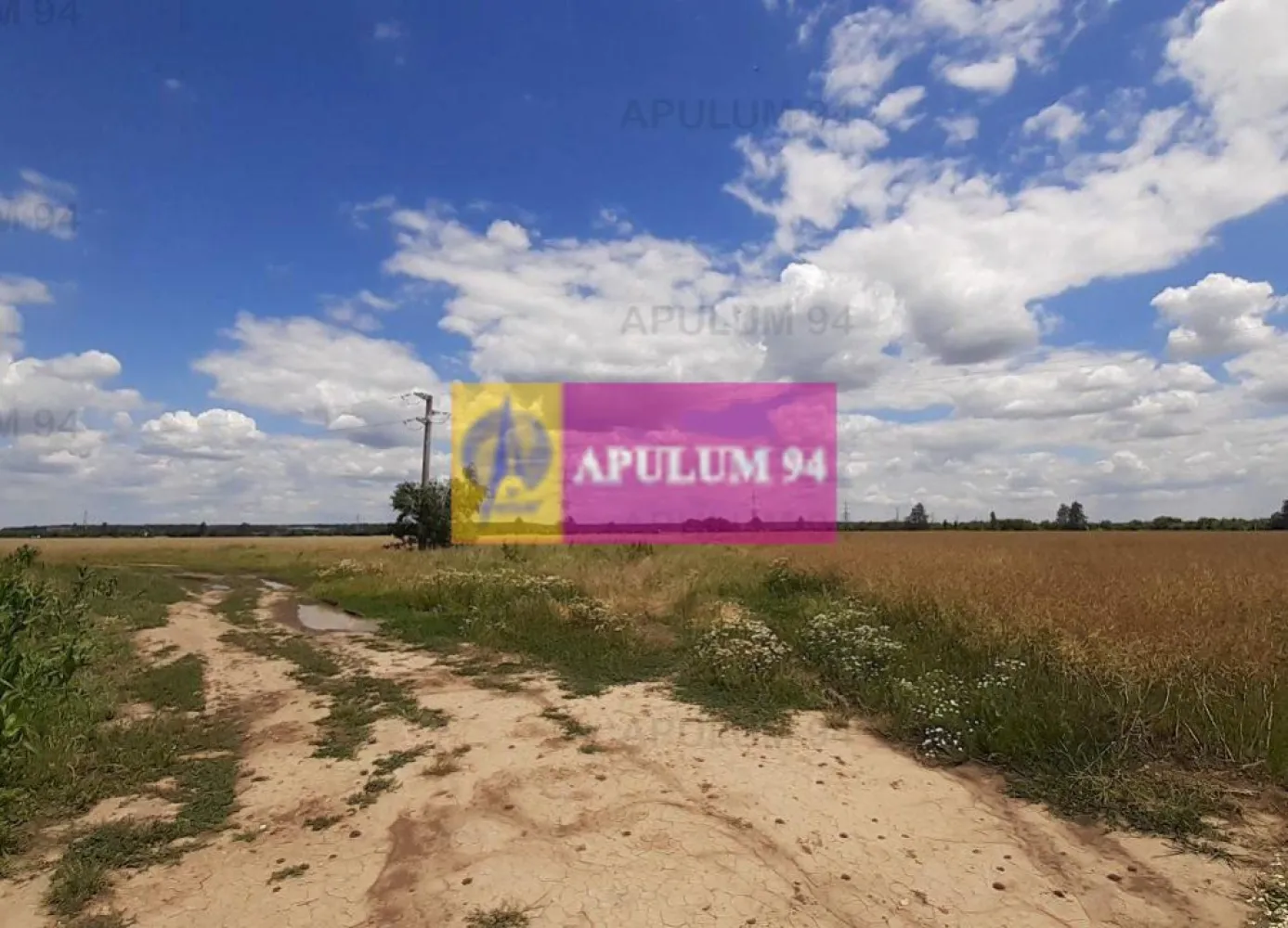 Teren 715mp în Snagov lângă Equestria