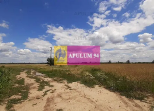 Teren 715mp în Snagov lângă Equestria