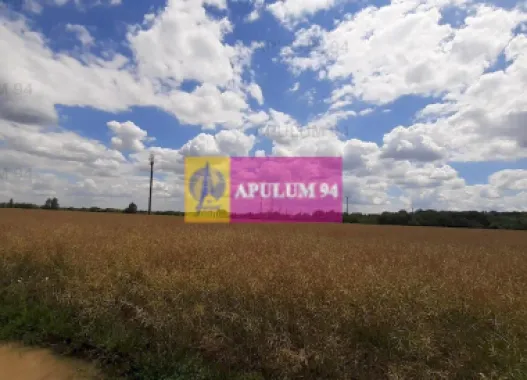 Teren 715mp în Snagov lângă Equestria