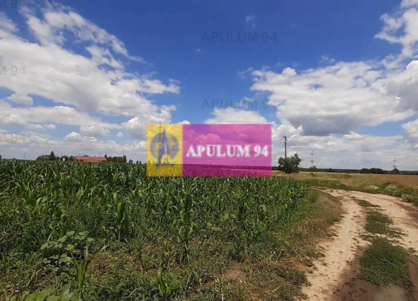 Teren 715mp în Snagov lângă Equestria