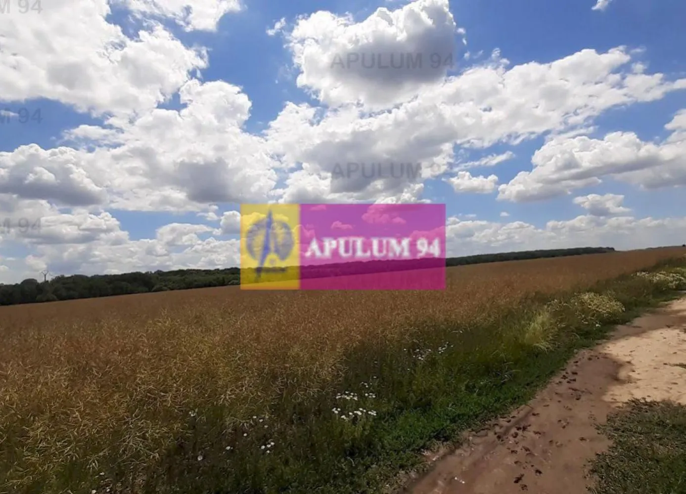 Teren 715mp în Snagov lângă Equestria