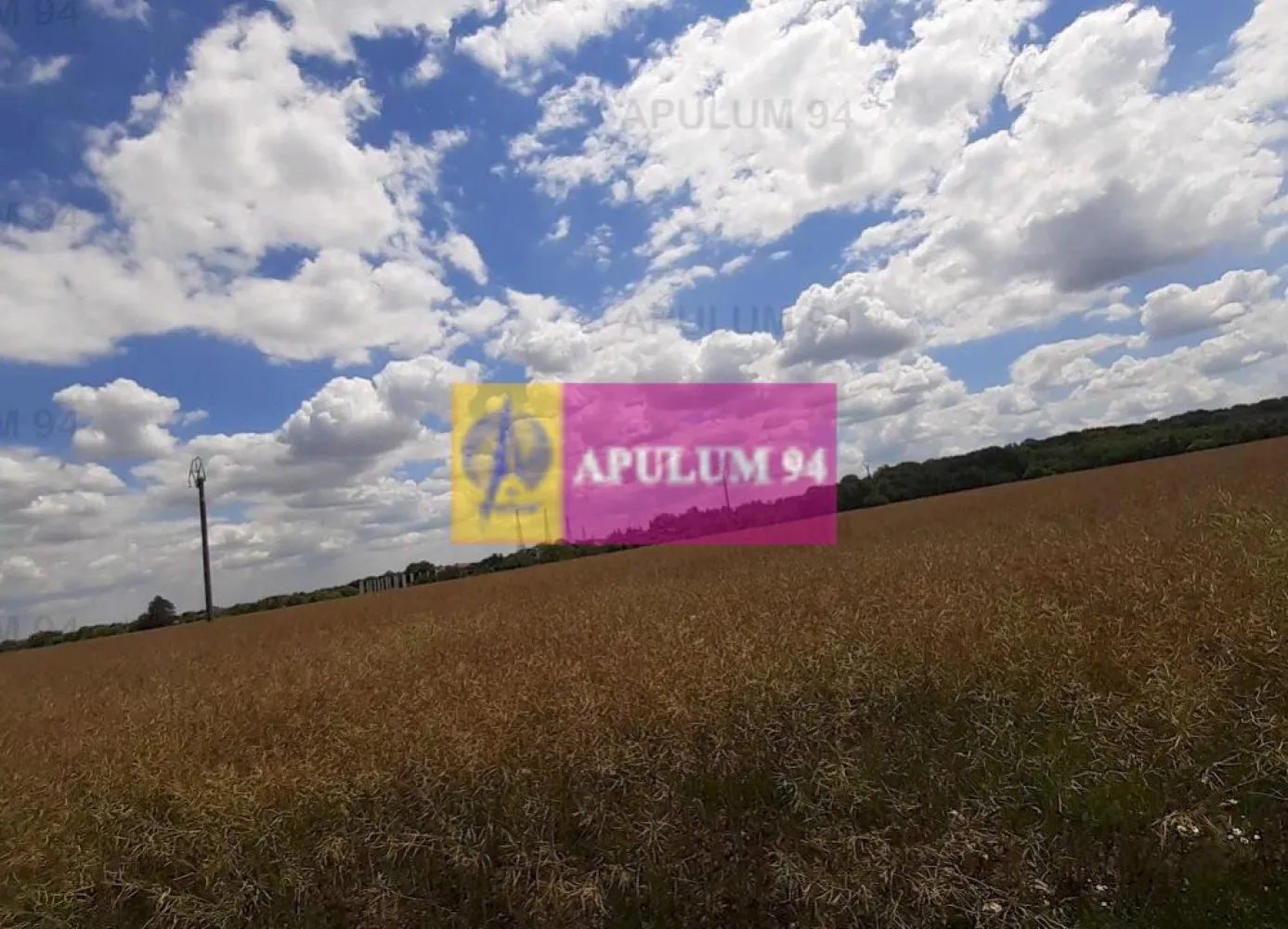 Teren 715mp în Snagov lângă Equestria
