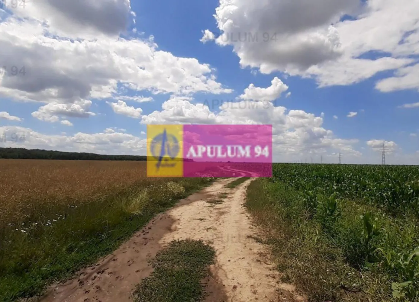 Teren 715mp în Snagov lângă Equestria
