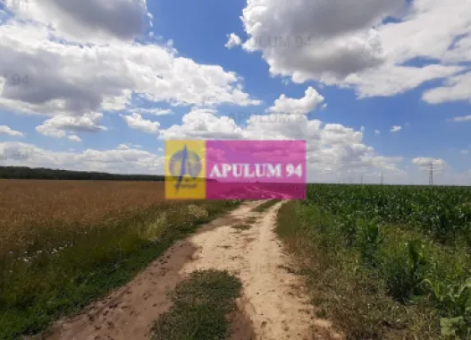 Teren 715mp în Snagov lângă Equestria