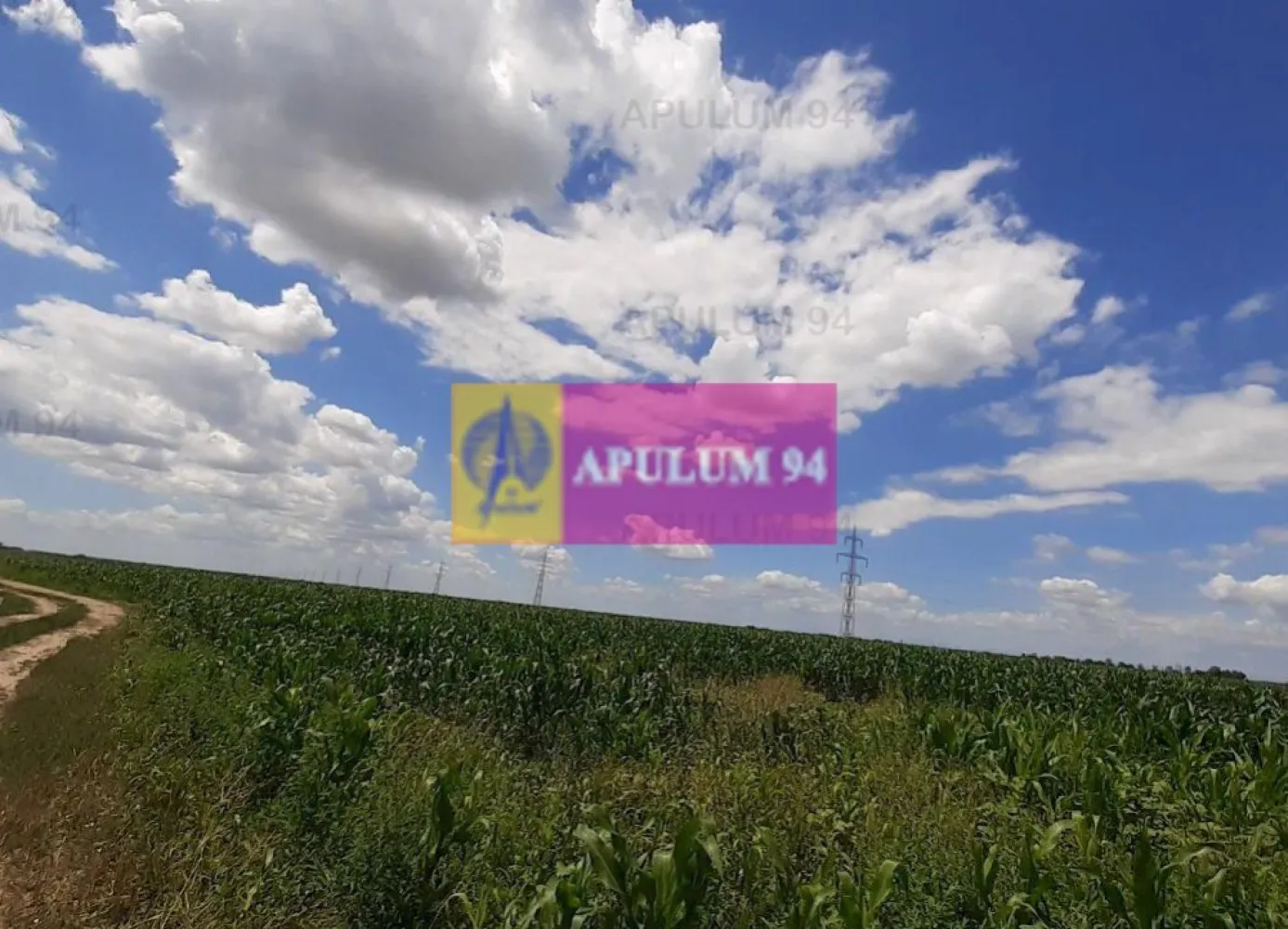 Teren 715mp în Snagov lângă Equestria