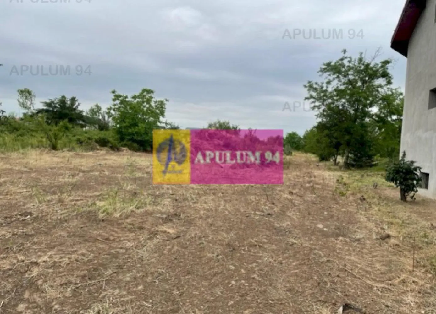 Teren Domnesti- Mega Image. - Compania imobiliara Apulum 94 va propune un teren situat stradal pe Soseaua Alexandru Ioan Cuza, in apropiere de Mega Image Domnesti. 
Terenul are o deschidere stradala de 4,5 ml, iar dupa aproximativ 60 metri se lateste la 13 ml. 
Terenul este racordat la curent, iar apa, gazul si canalizarea sunt in fata terenului. 
Pentru vizionare si mai multe detalii nu ezitati sa ma contactati pe nr 0733683446- Laura Ionescu.