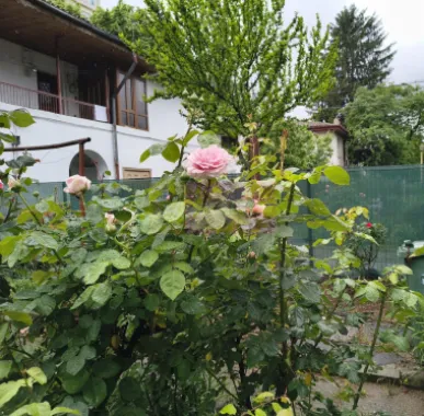 Apartament frumos și cochet cu centrală proprie aproape de Parcul IOR