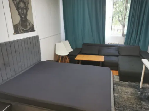Apartament 1 camera, micro 40