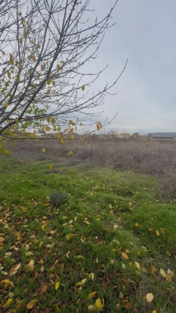 Teren Intravilan - Sat Costi - Pret - 38.500 euro

Teren Intravilan – Aproape...800 mp ( 756 mp )

Localizare: sat Costi, aproape de intrarea din DN – acces rapid și comod!

Formă aproape pătrată, ideală pentru orice proiect rezidențial

Dimensiuni: 27 m x 28 m – suprafață bine proporționată

Perfect pentru construirea unei case moderne, cu curte generoasă

Zonă liniștită, dar foarte aproape de drumul național

Potrivit pentru cei care își doresc liniște, dar și acces facil către oraș

Utilități ușor de racordat

Oportunitate excelentă! Terenul este pregătit pentru viitorul tău proiect.