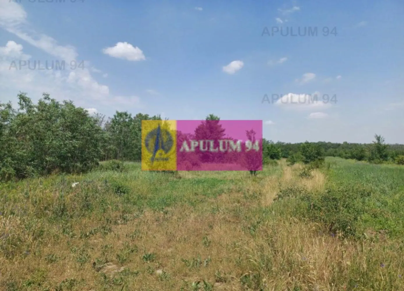 Săbăreni, teren 12620 mp pentru case, lângă pădure - Terenul este amplasat, la intrarea în Săbăreni dinspre DN7, imediat după pădure, lipit de aceasta. Are suprafața de 12.620 mp, cu o deschidere la drumul de accces de 36 m. Terenul este intravilan iar zona are destinatie rezidentială: locuințe de tip parter sau p+1. Nu se vinde dezmembrat. Pret 15 EUR/mp.