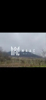 Logo MAAC IMOBILIARE logo