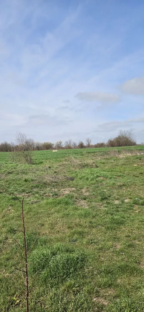 Afumati Balta Batal teren de vanzare 7000 mp - K Imobiliare propune in zona Afumati zona Balta Batal , teren extravilan suprafata 7000 mp , deschidere 14 .