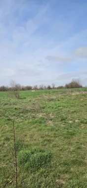 Afumati Balta Batal teren de vanzare 7000 mp
