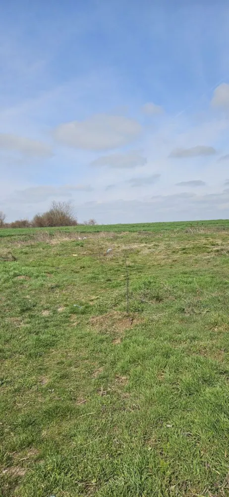 Afumati Balta Batal teren de vanzare 7000 mp - K Imobiliare propune in zona Afumati zona Balta Batal , teren extravilan suprafata 7000 mp , deschidere 14 .