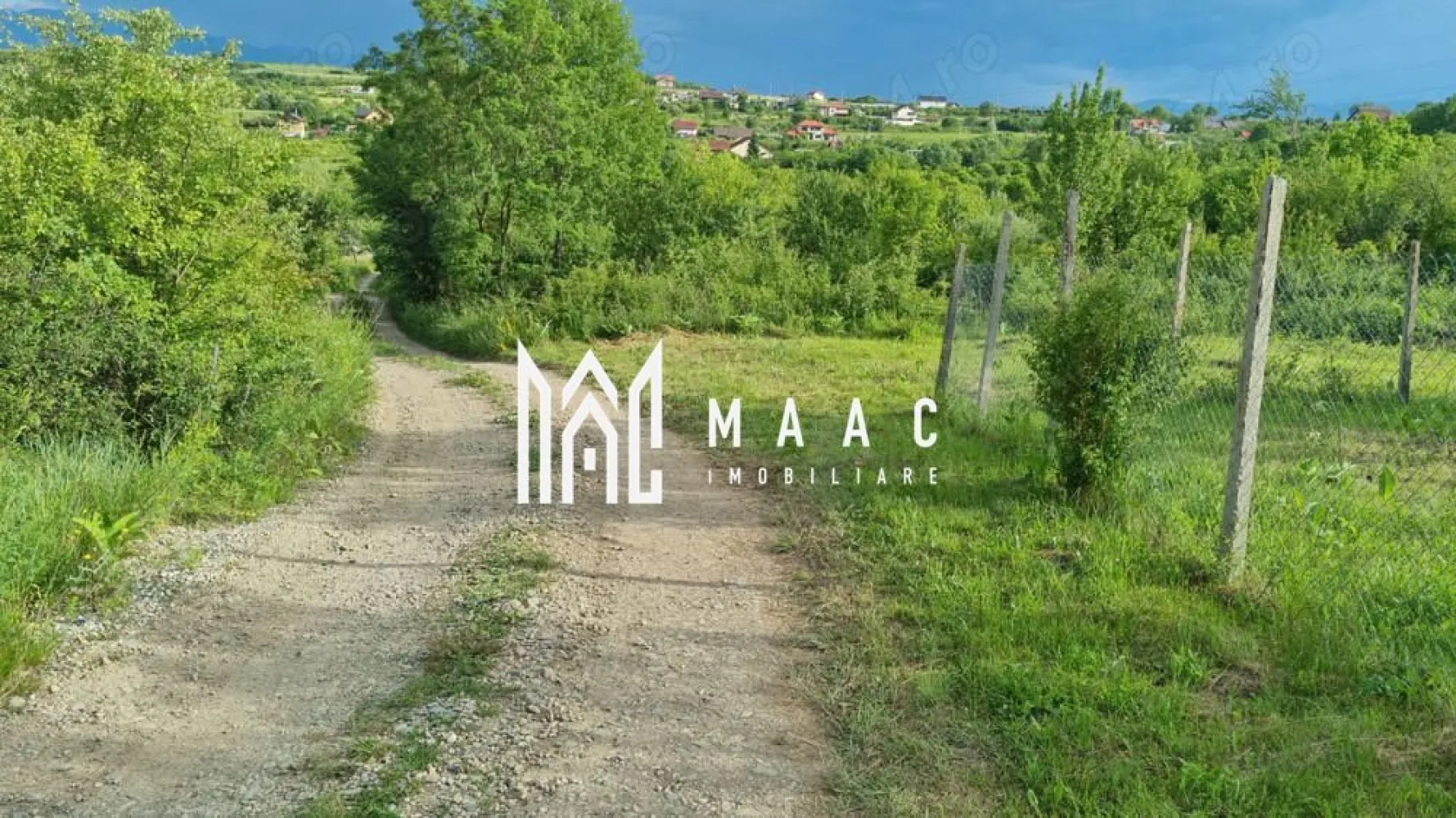 Teren intravilan de vânzare Daia Nouă | 1000 mp | Ideal pentru construcție - MAAC Imobiliare vă propune spre vânzare un teren intravilan situat în Daia Nouă, într-o zonă liniștită, ideală pentru construcția unei locuințe familiale sau investiție pe termen lung.

Terenul are o suprafață de 1000 mp și beneficiază de o deschidere de aproximativ 12 metri liniari. Forma terenului este dreaptă în proporție de aproximativ 90%, oferind posibilități foarte bune pentru amplasarea unei construcții.

Utilități:

curent electric la aproximativ 20 m, peste drum
apă și canalizare pe strada alăturată
gazul nu este disponibil momentan în zonă

Acces facil și poziționare într-o zonă în continuă dezvoltare.

Pentru mai multe detalii precizati telefonic ca ati vazut anuntul cu ID: CP3096635