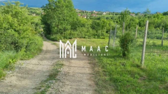 Teren intravilan de vânzare Daia Nouă | 1000 mp | Ideal pentru construcție