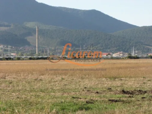 Codlea teren constructii industriale sau logistice 8 ha pana la 24 Ha