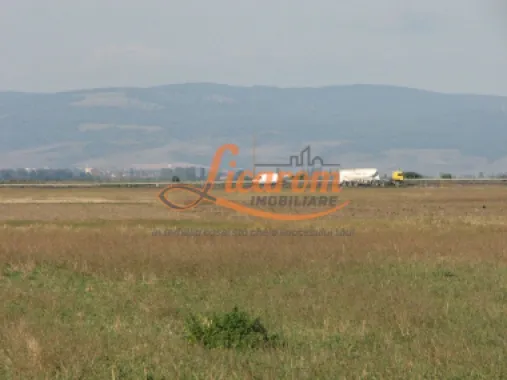 Codlea teren constructii industriale sau logistice 8 ha pana la 24 Ha