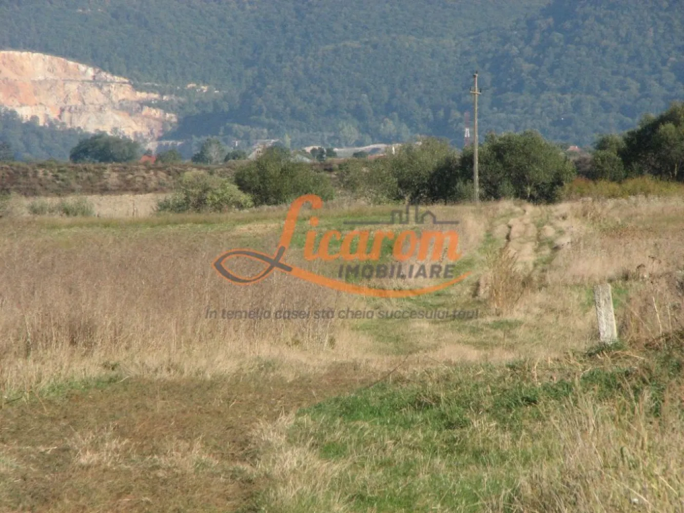 Codlea teren constructii industriale sau logistice 8 ha pana la 24 Ha